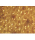 Epitelio simple plano m.e.