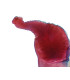 Cisticerco de ténia, e.i.