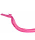 Macho de Schistosoma, e.i.