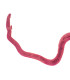 Fêmea de Schistosoma, e.i.