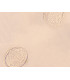 Ovos de Schistosoma, e.i.