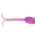 Cercaria de Schistosoma, e.i.