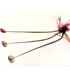 Rhizopus nigricans, e.i.