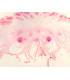 Órgão reprodutor feminino de Marchantia, s.l.