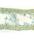 Folha de Narcissus tazetta (narciso), s.t.