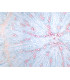 Raiz de Daucus carota (cenoura), s.t.