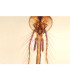 Cabeça de mosquito fêmea (aparelho picador chupador)