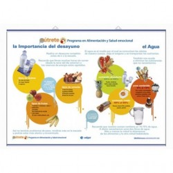 LÁMINA DE LA PIRÁMIDE DE LOS ALIMENTOS