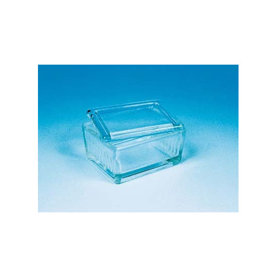 TINA COLORAÇÃO SCHIEFFERDECKER