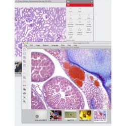 MICROSCOPIO DIGITAL MONOCULAR MOTIC MODELO DM-1802