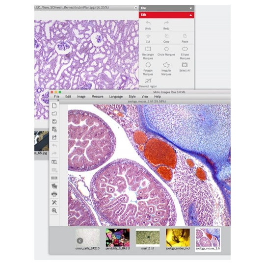 MICROSCOPIO DIGITAL MONOCULAR MOTIC MODELO DM-1802