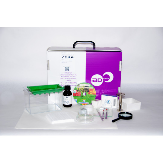 KIT DE EXPERIENCIAS DE BOTÁNICA KIT DE EXPERIENCIAS DE BOTÁNICA