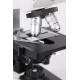MICROSCOPIO BINOCULAR mod. IBD-05B.