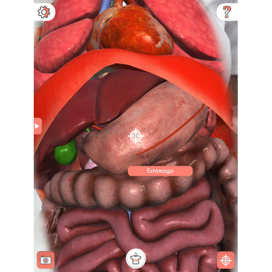 CAMISETA ANATOMIA REALIDADE VIRTUAL ADULTO (25un)