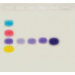 Kit simulación de PCR para electroforesis