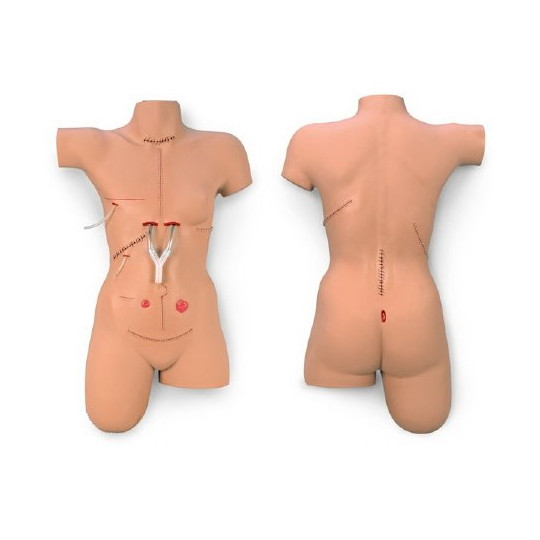 TORSO SIMULADOR DE VENDAJES