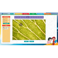 Cámara para ocular CMEX Explorer 1  (1,3 MP)