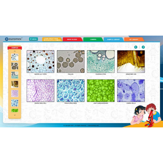 Cámara para ocular CMEX Explorer 1  (1,3 MP)