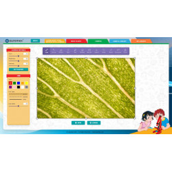 Cámara para ocular CMEX Explorer 2  (2,1 MP)