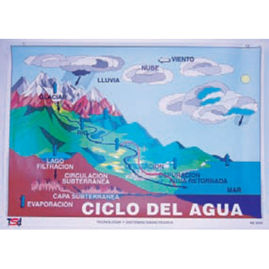 LÁMINA MURAL EL CICLO DEL AGUA LÁMINA MURAL EL CICLO DEL AGUA