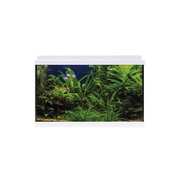 Acuario de vidrio de 64l