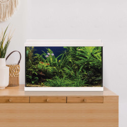 Acuario de vidrio de 64l