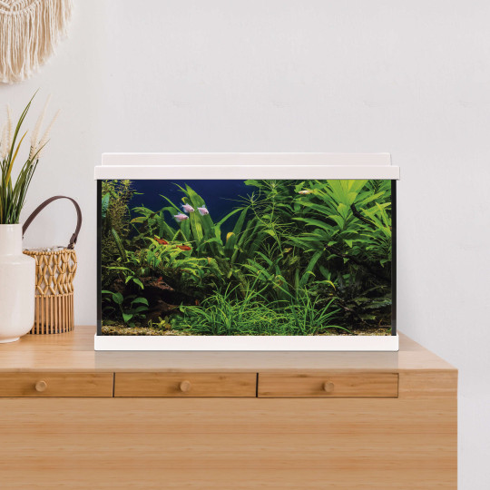 Acuario de vidrio de 64l