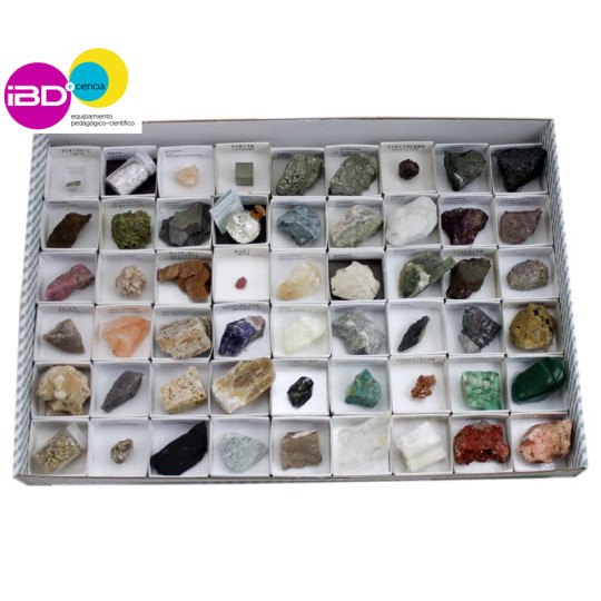 COLECCIÓN DE 162 ROCAS Y MINERALES