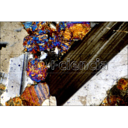 PREPARACIÓN MICROSCÓPICA DE Arenisca