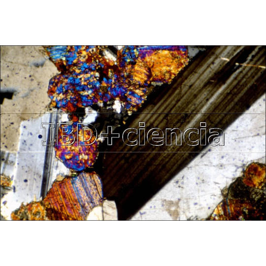 PREPARACIÓN MICROSCÓPICA DE Arenisca