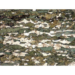 Preparacion petrográfica Riolita blanca