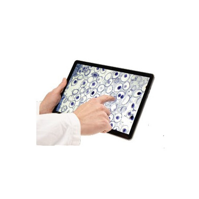 TABLET COM CÂMARA WiFi (5,0 MP) EduPad-WiFi