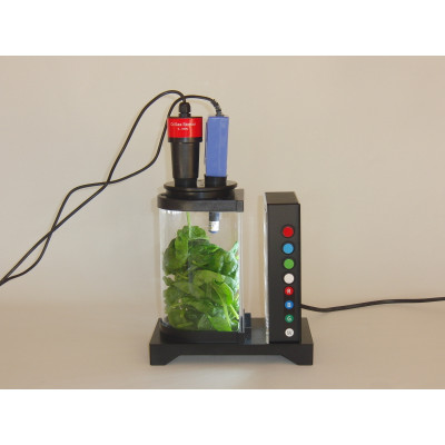 SENSOR OXÍGENO GAS 0-100%