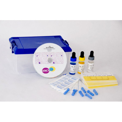 KIT DE DETERMINAÇÃO DO GRUPO SANGUÍNEO COM FICHAS